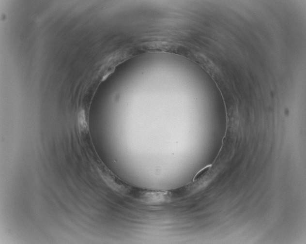 X0000081580089200701291251