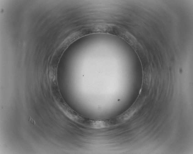 X0000081580091200701291251