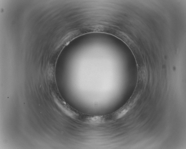 X0000081580092200701291251