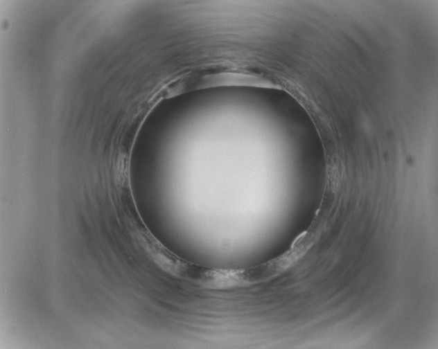 X0000081580093200701291251