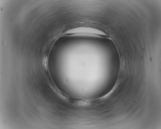 X0000081580094200701291251