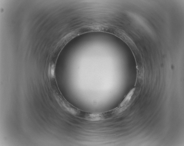 X0000081580095200701291251