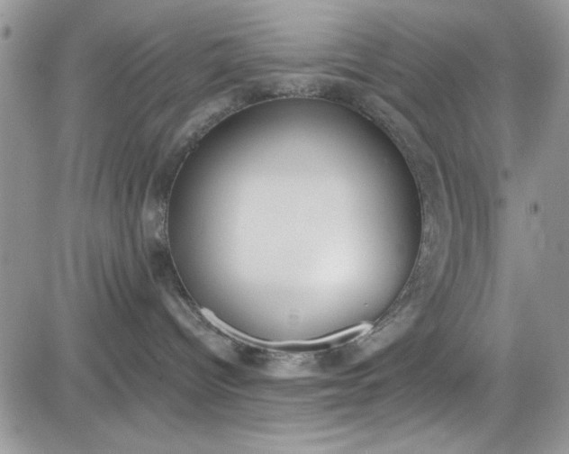 X0000081580096200701291251