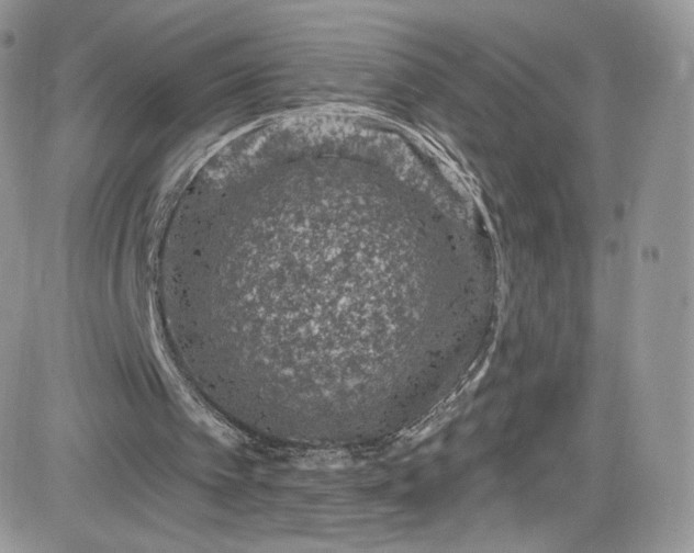 X0000081580097200701291250