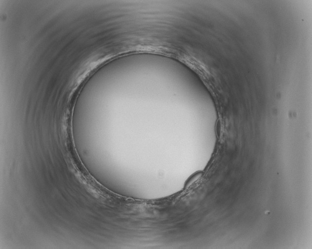 X0000081580098200701291250