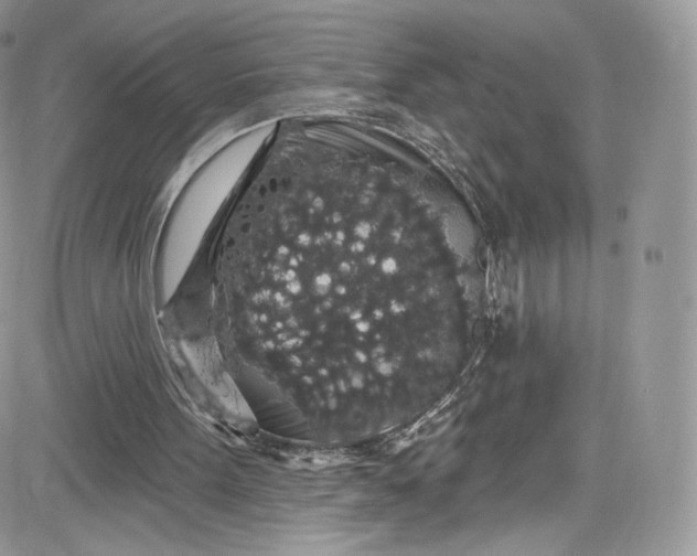 X0000081580099200701291250