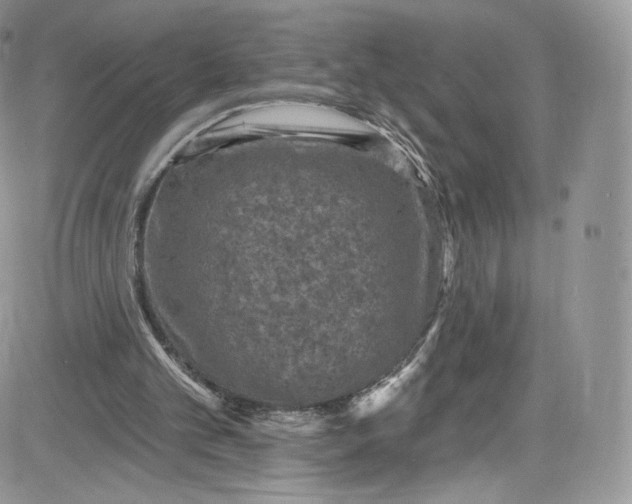 X0000081580101200701291250