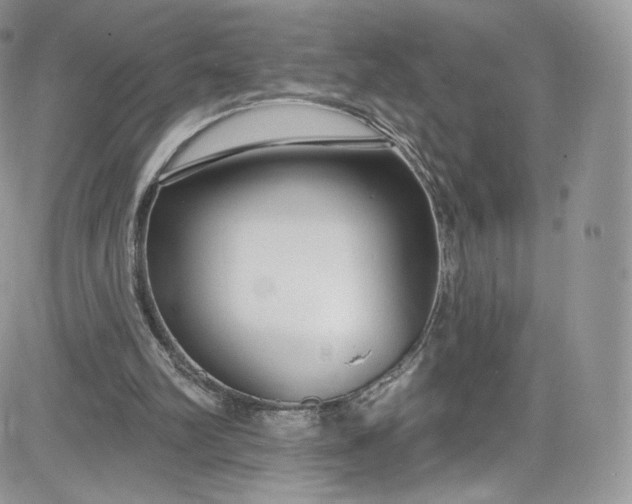 X0000081580102200701291250