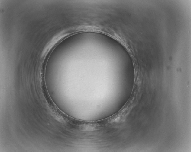 X0000081580103200701291250