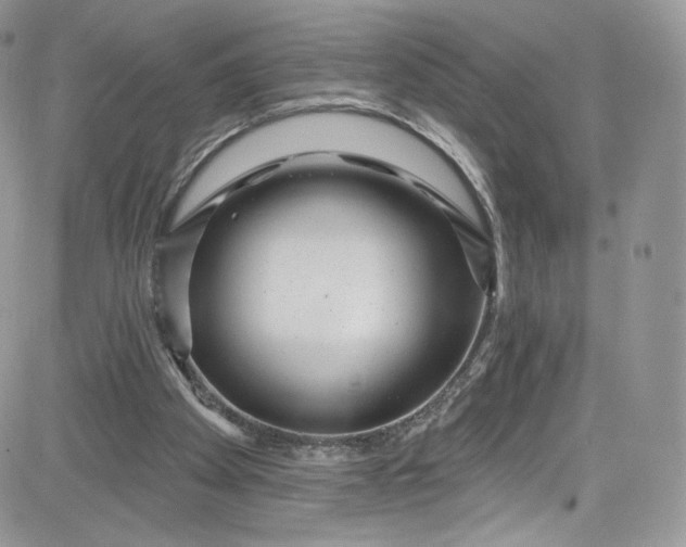 X0000081580105200701291250