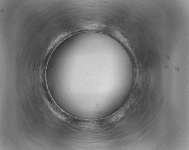 X0000081580106200701291250