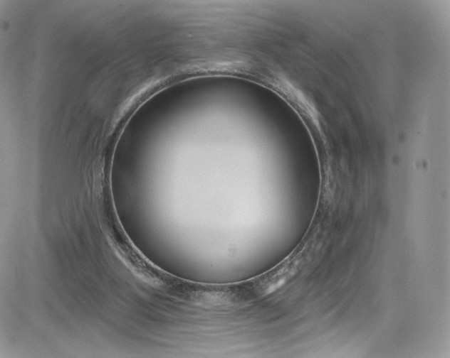 X0000081580107200701291250