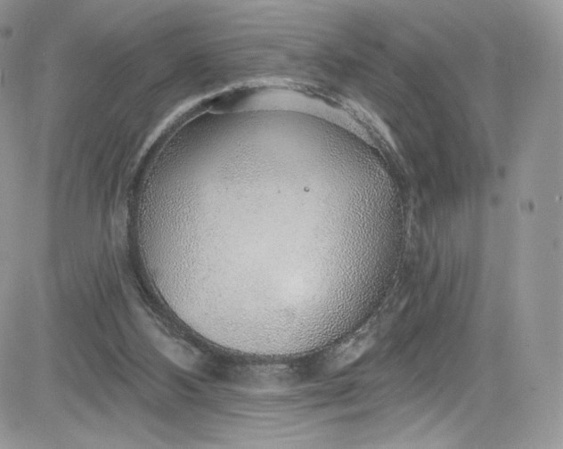 X0000081580108200701291250