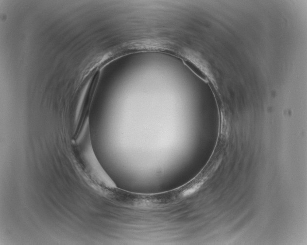 X0000081580109200701291250