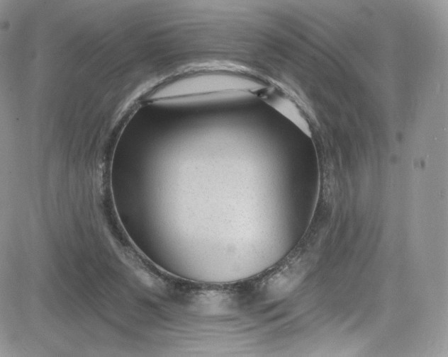 X0000081580111200701291250