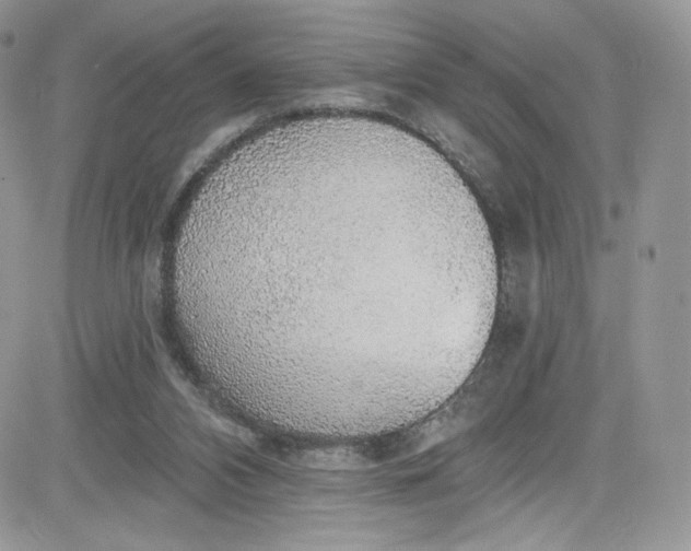 X0000081580112200701291250