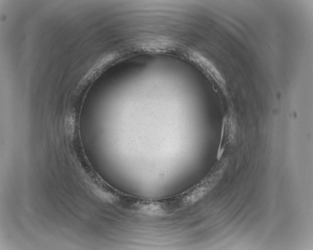 X0000081580113200701291250