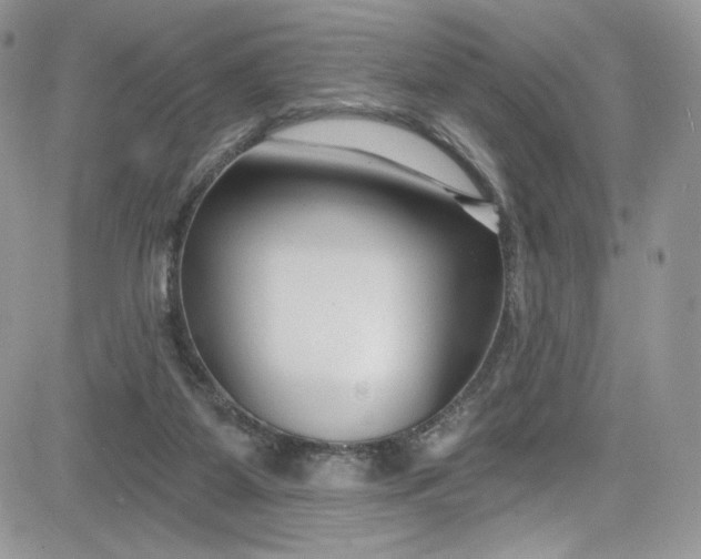 X0000081580115200701291250