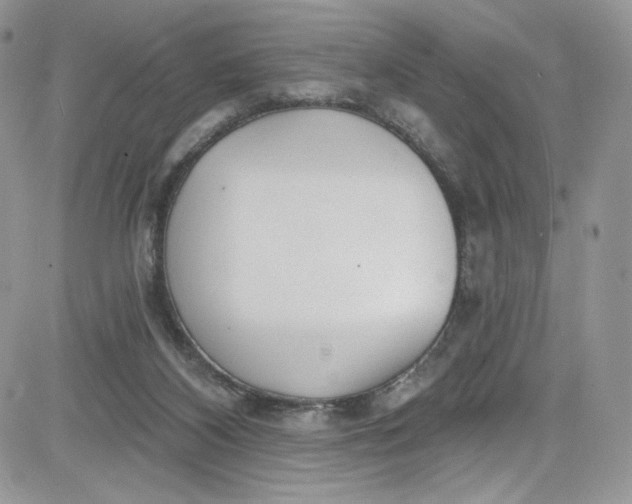 X0000081580116200701291250