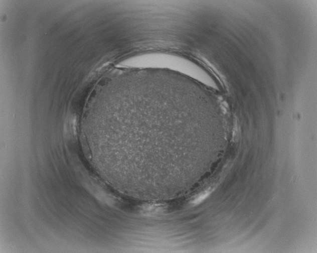 X0000081580117200701291250