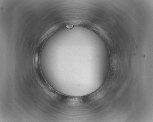 X0000081580118200701291250