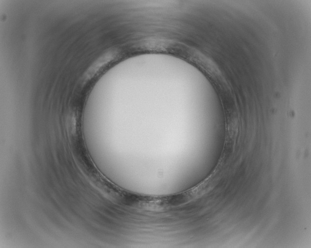 X0000081580120200701291250