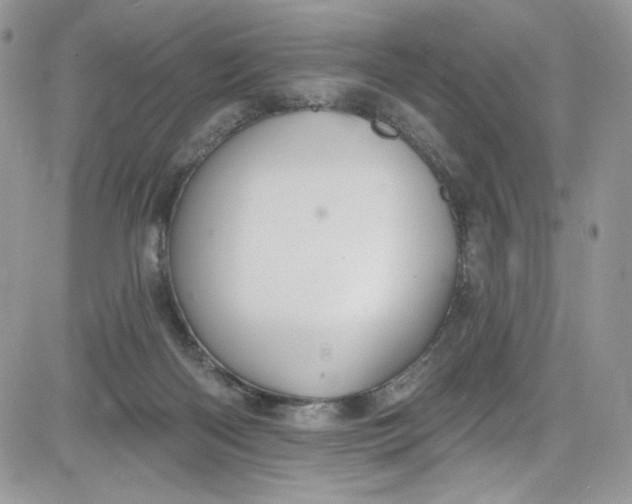 X0000081580122200701291250