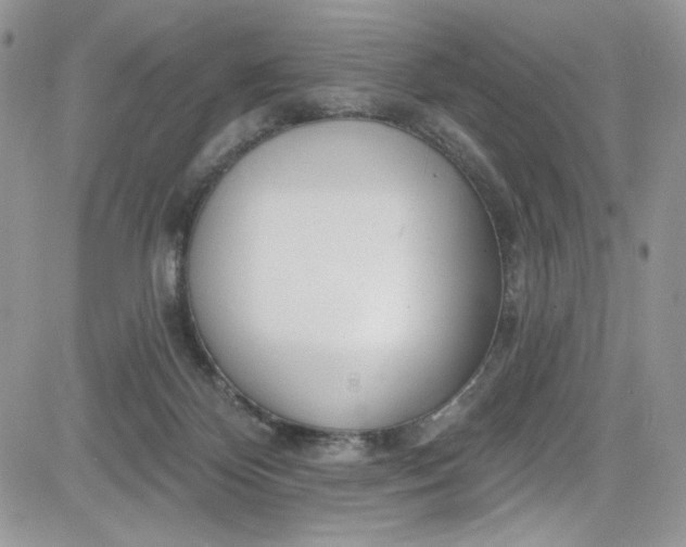 X0000081580124200701291250