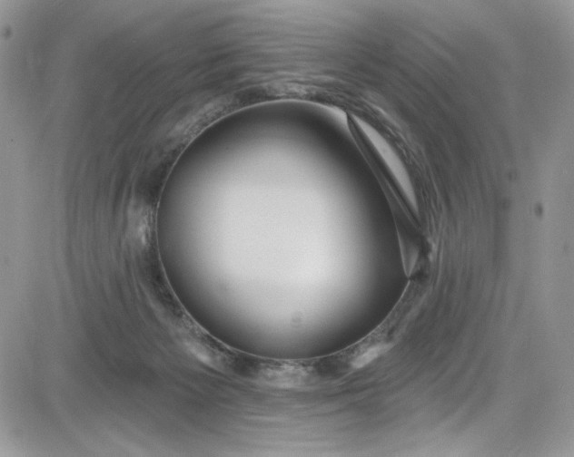 X0000081580125200701291250