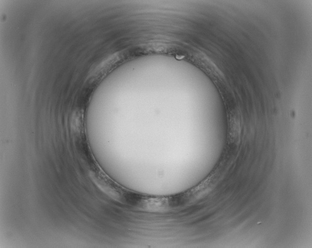 X0000081580126200701291250