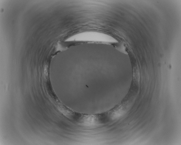 X0000081580127200701291250