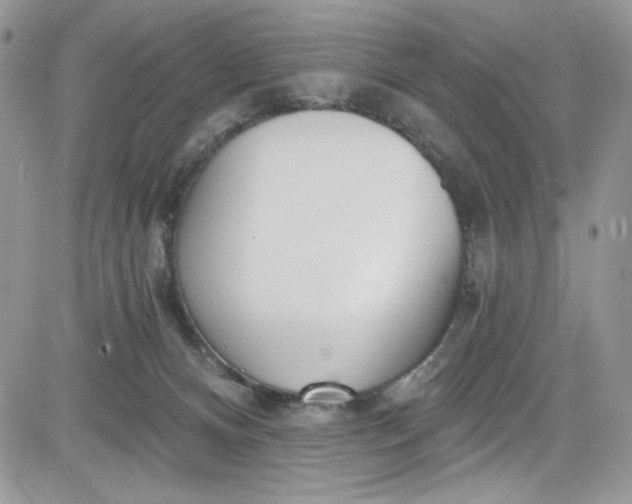 X0000081580128200701291250