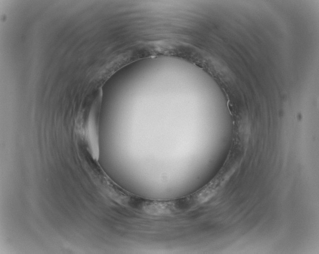 X0000081580129200701291250