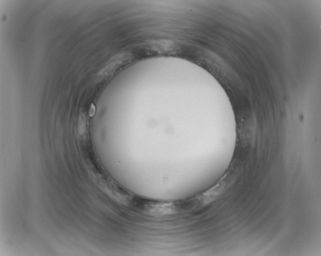 X0000081580132200701291250