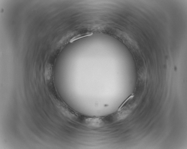 X0000081580133200701291250