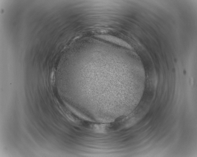 X0000081580134200701291250