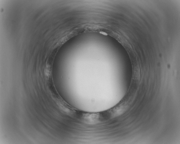 X0000081580135200701291250