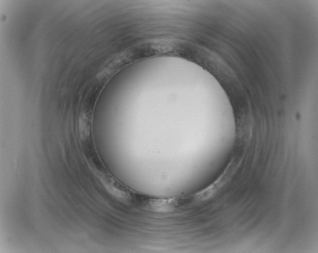 X0000081580136200701291250