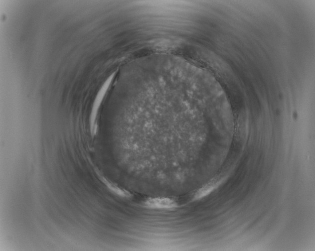 X0000081580137200701291249