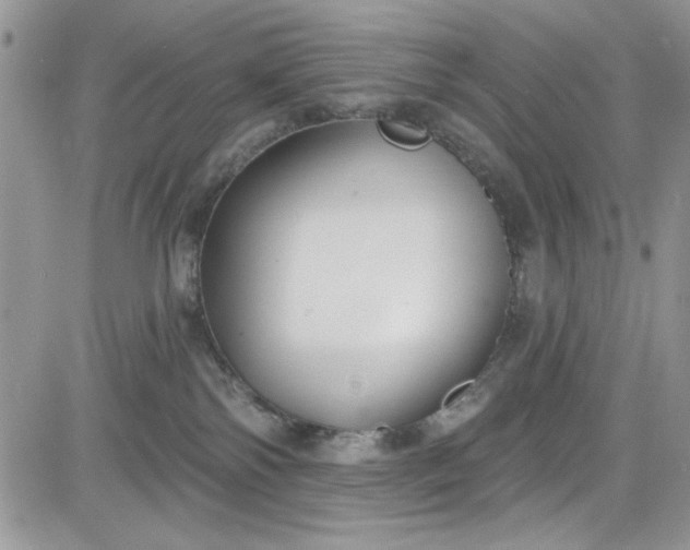 X0000081580138200701291249