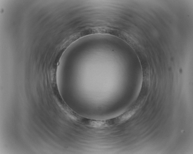 X0000081580139200701291249