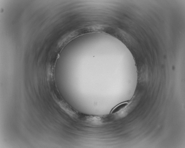 X0000081580140200701291249