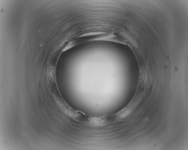 X0000081580141200701291249