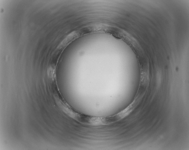 X0000081580142200701291249