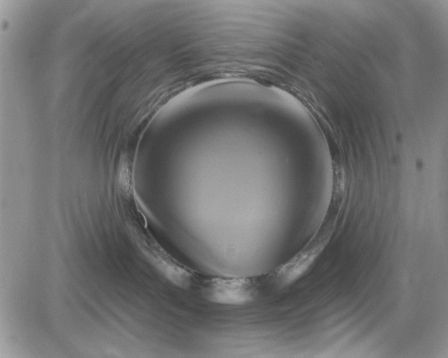 X0000081580143200701291249