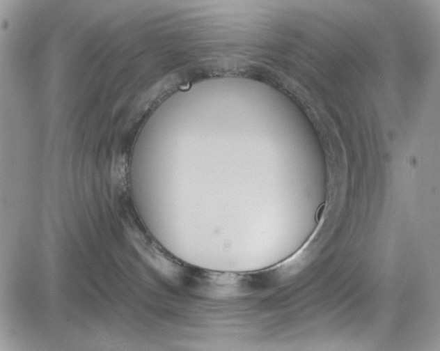 X0000081580144200701291249