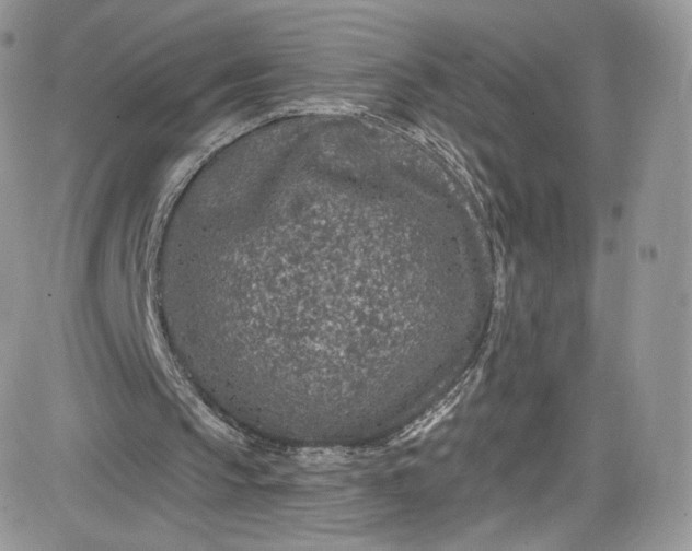 X0000081580145200701291249