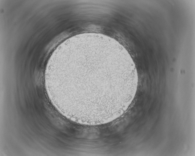 X0000081580146200701291249