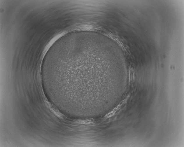 X0000081580147200701291249