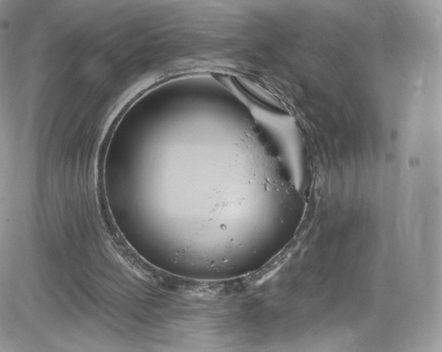 X0000081580148200701291249